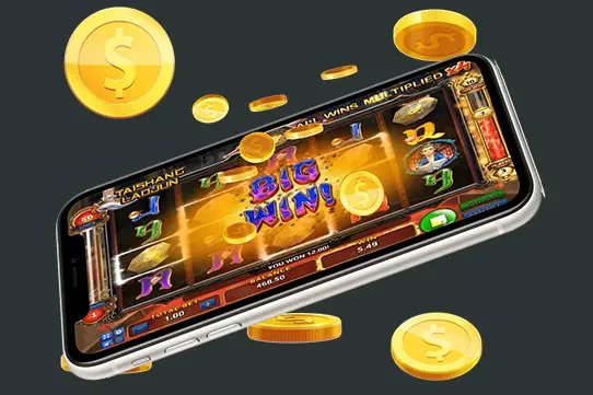 3666bet